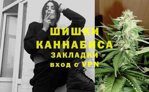 индика Кукмор