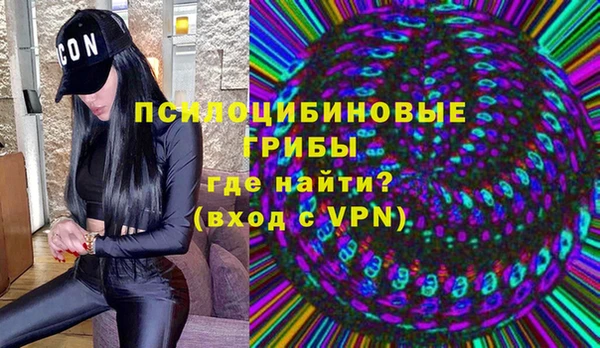 индика Кукмор