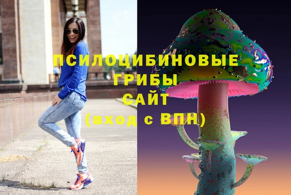 тгк Лагань