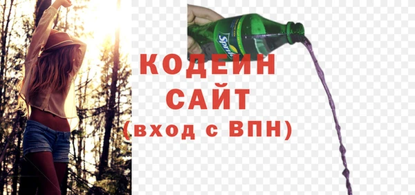 индика Кукмор