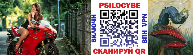 Псилоцибиновые грибы Psilocybine cubensis  Павлово 
