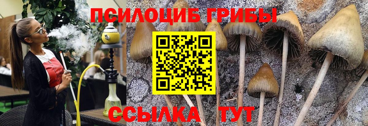 Галлюциногенные грибы Magic Shrooms  Вход с VPN  Павлово 