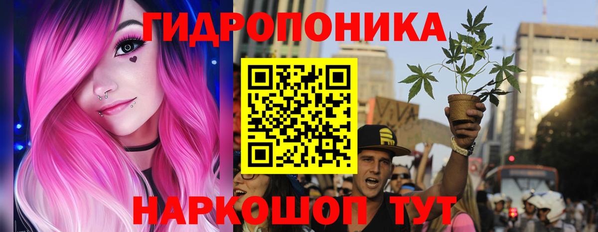 Каннабис ГИДРОПОН Павлово